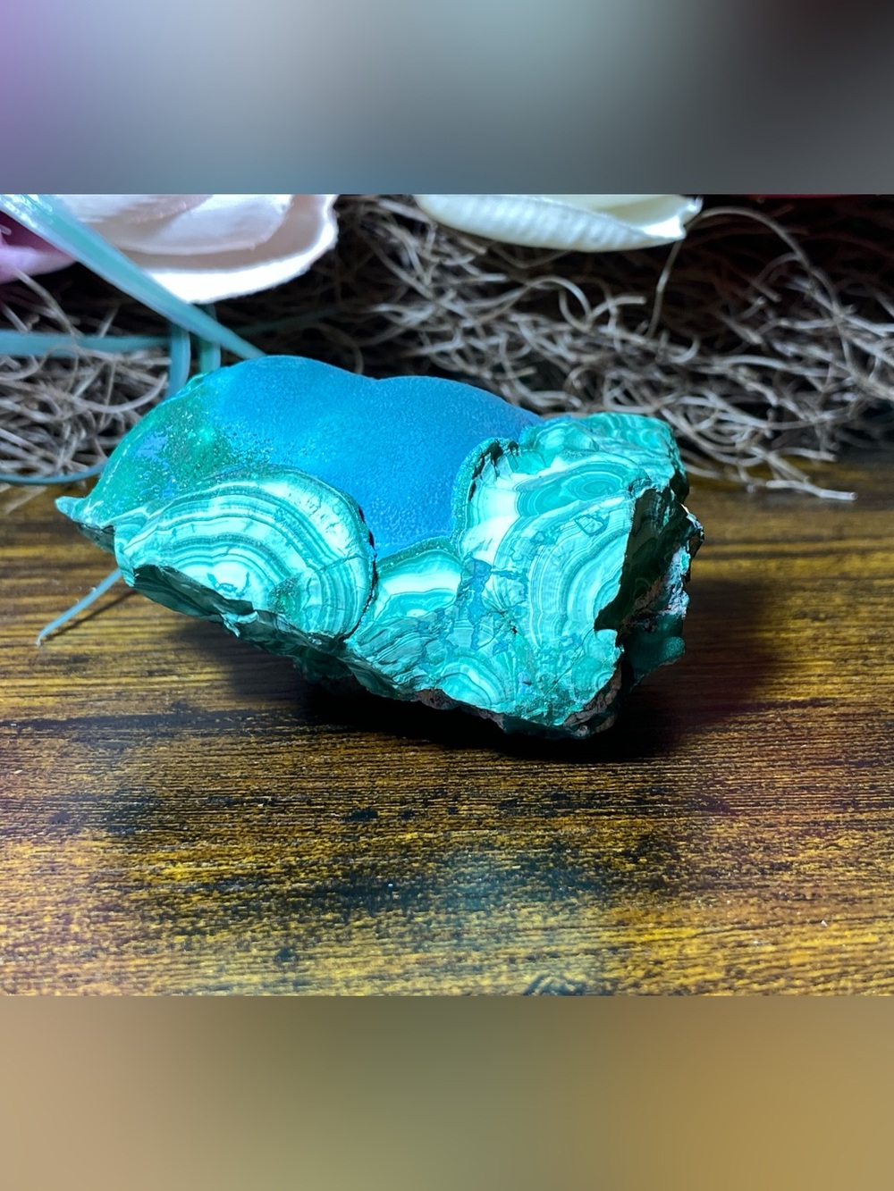 Large Botryoidal Malachite - Picture 4 of 16